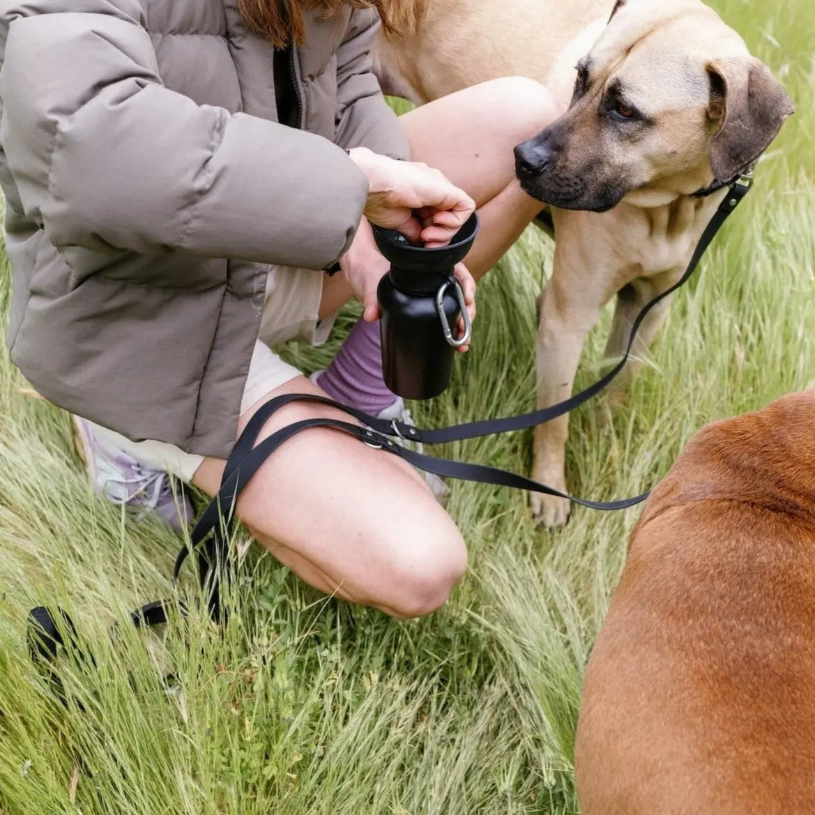 20oz Flip Travel Dog Water Bottle