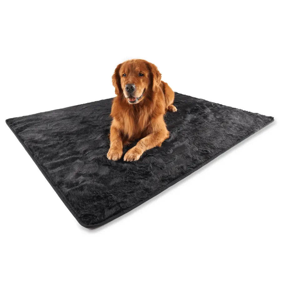 PupProtector™ Summer Short Fur Waterproof Throw Blanket - Midnight Black Paw.com