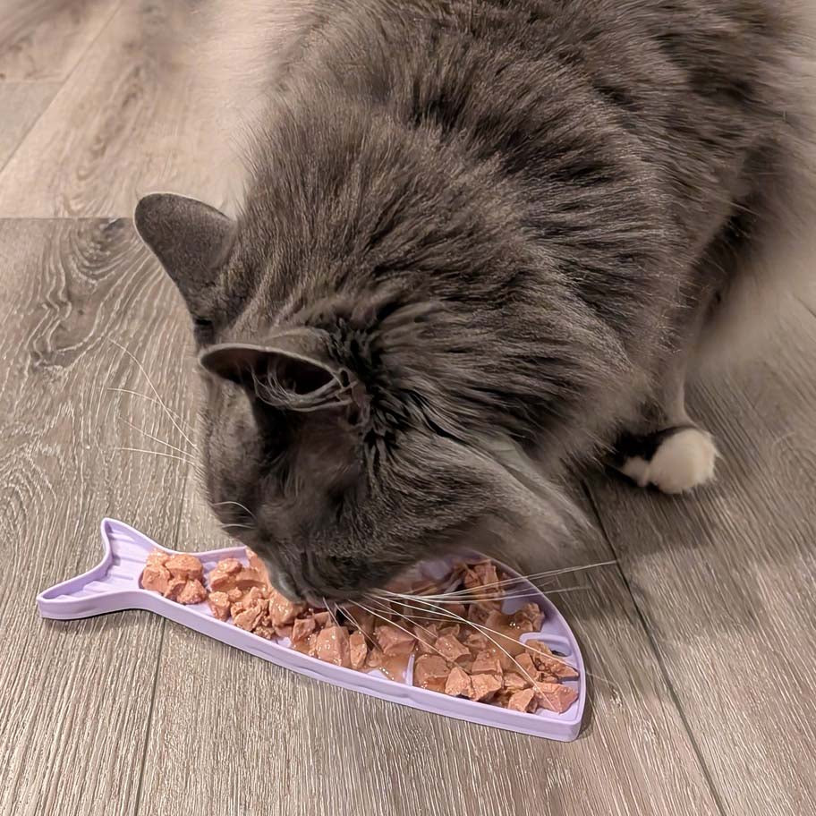 Goldfish emat - Small Enrichment Lick Mat for Cats | SodaPup