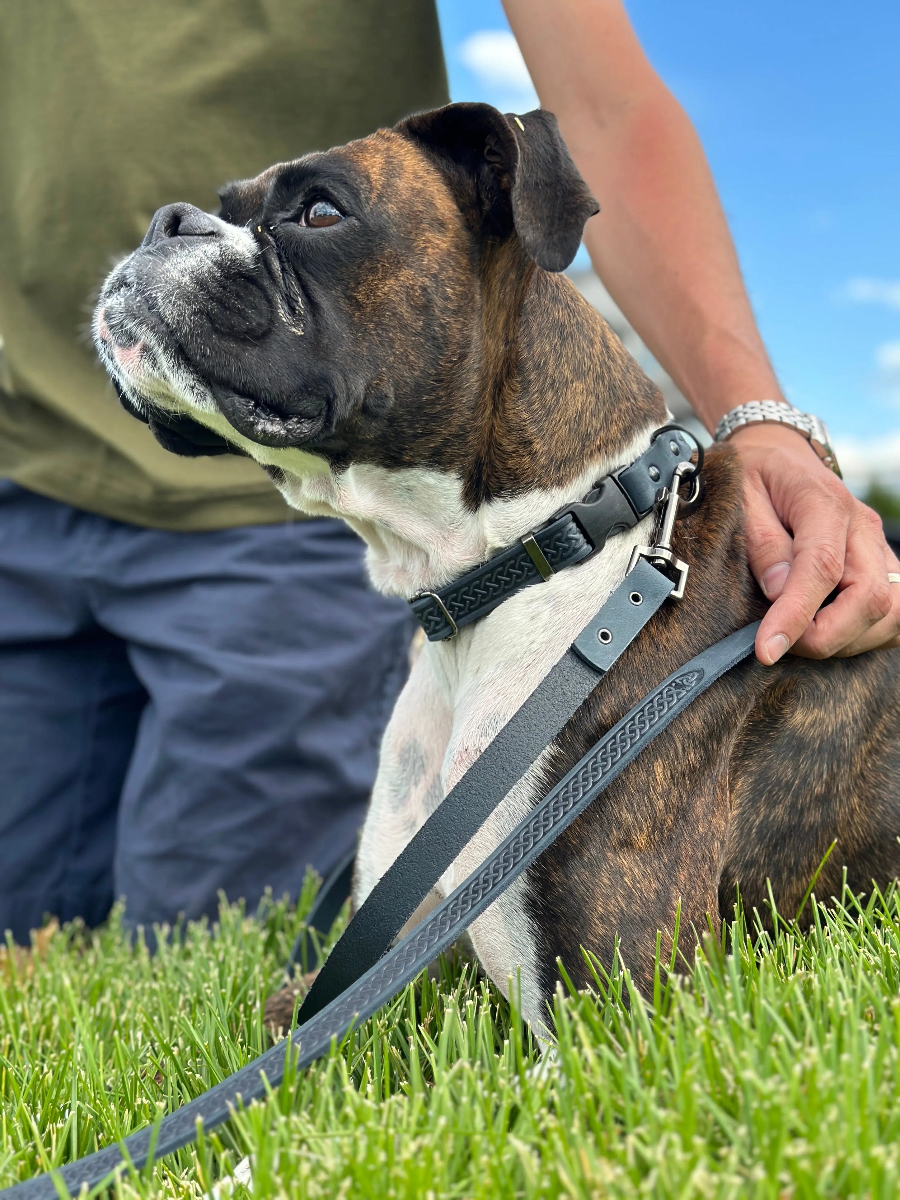Celtic Sport Blue Jeans Leather Dog Leash Euro-Dog Collars and Leads