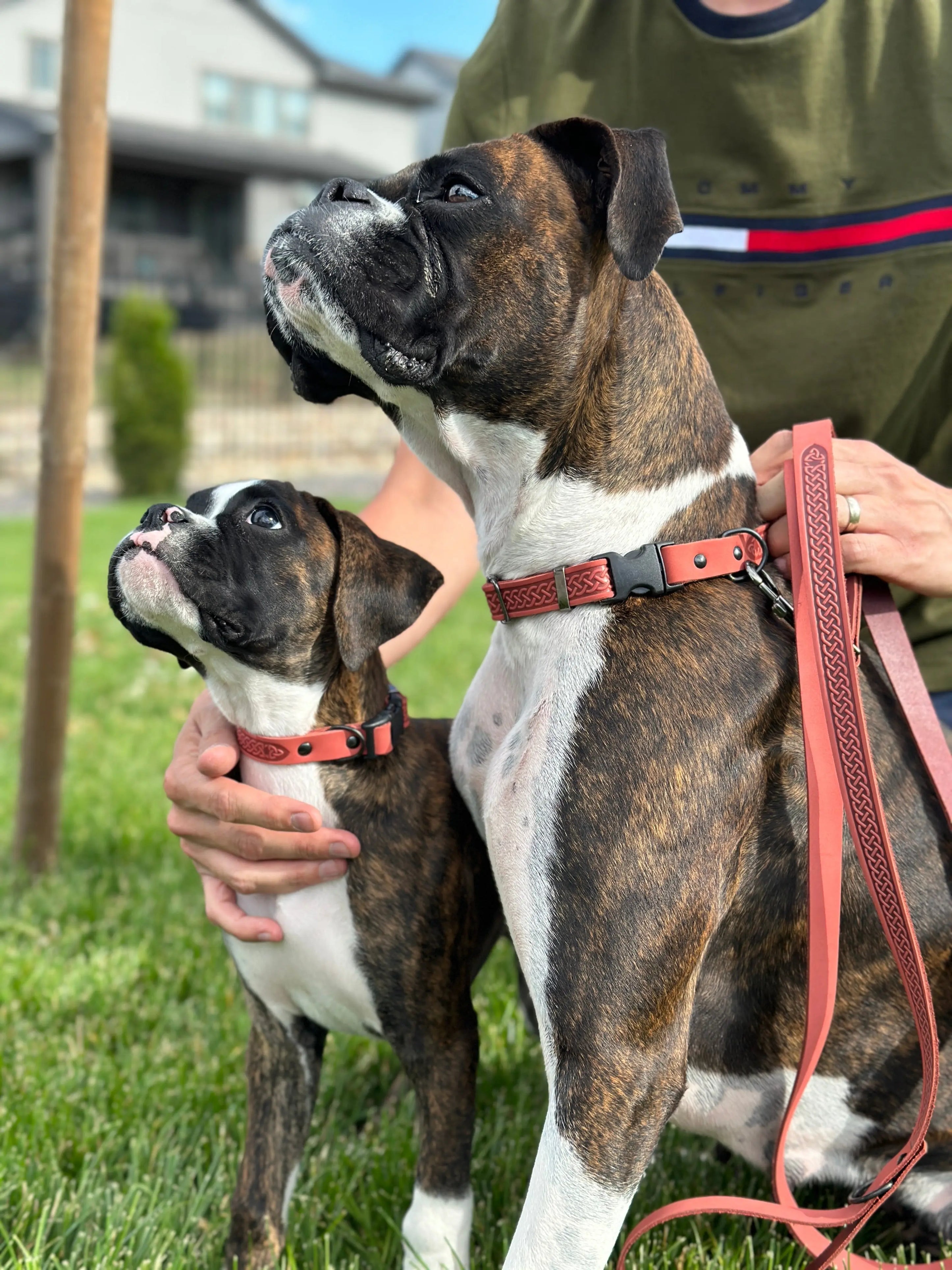 Celtic Sport Leather Collar and Leash Set Euro-Dog Collars and Leads