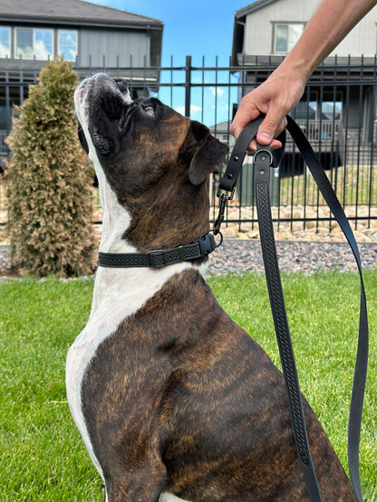 Celtic Sport Midnight Black Leather Dog Leash Euro-Dog Collars and Leads