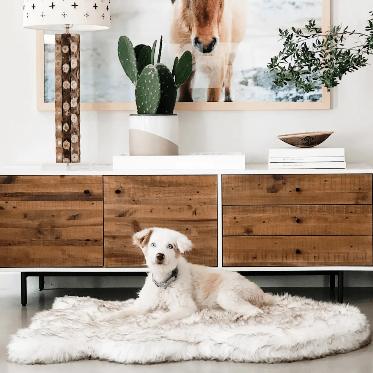 PupRug by Paw.com™ Faux Fur Orthopedic Dog Bed - Curve White with Brown Accents Paw.com