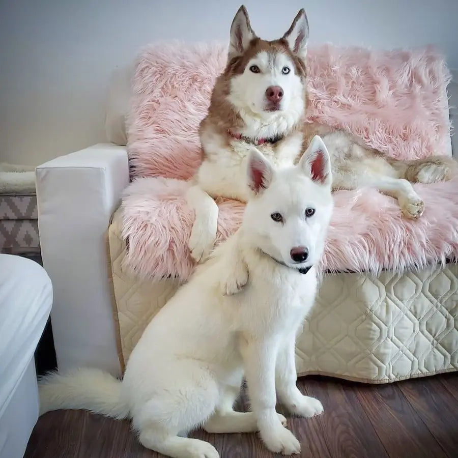 PupProtector™ Waterproof Throw Blanket - Blush Pink Paw.com