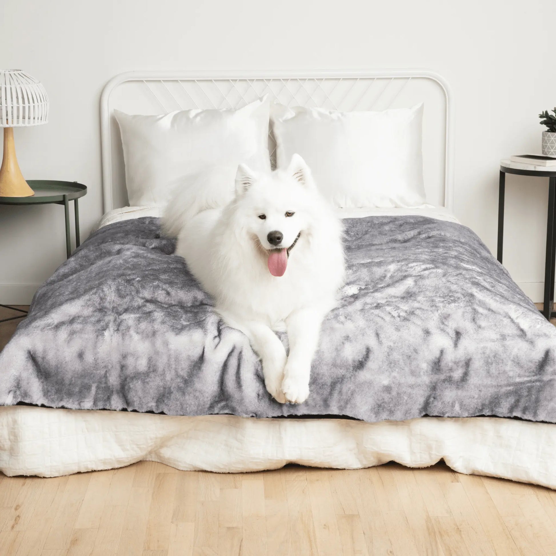 PupProtector™ Luxe Waterproof Faux Fur Blanket - Ultra Soft Chinchilla Paw.com