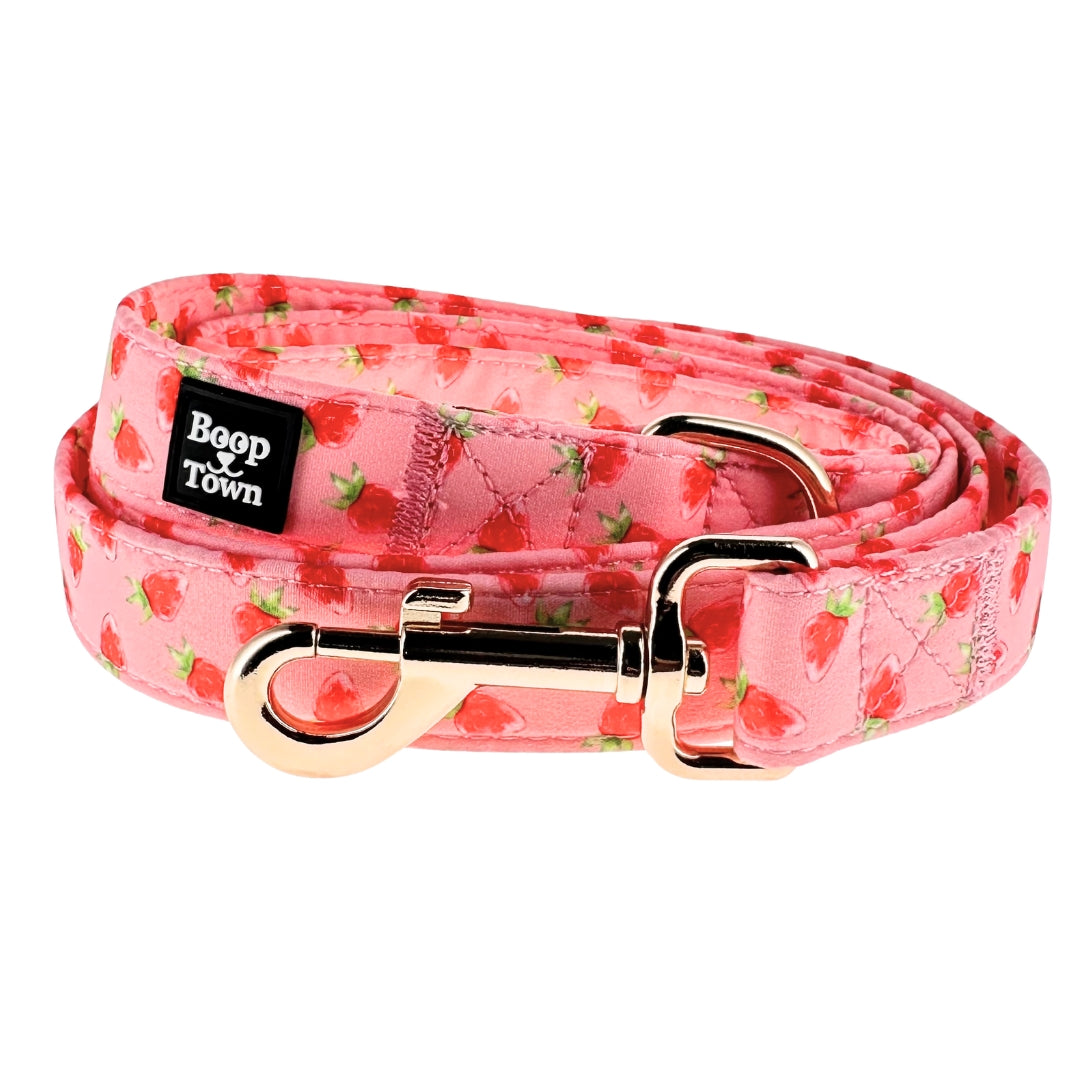 Boop Town 5ft Soft Cotton Dog Leashes with Metal Hardware