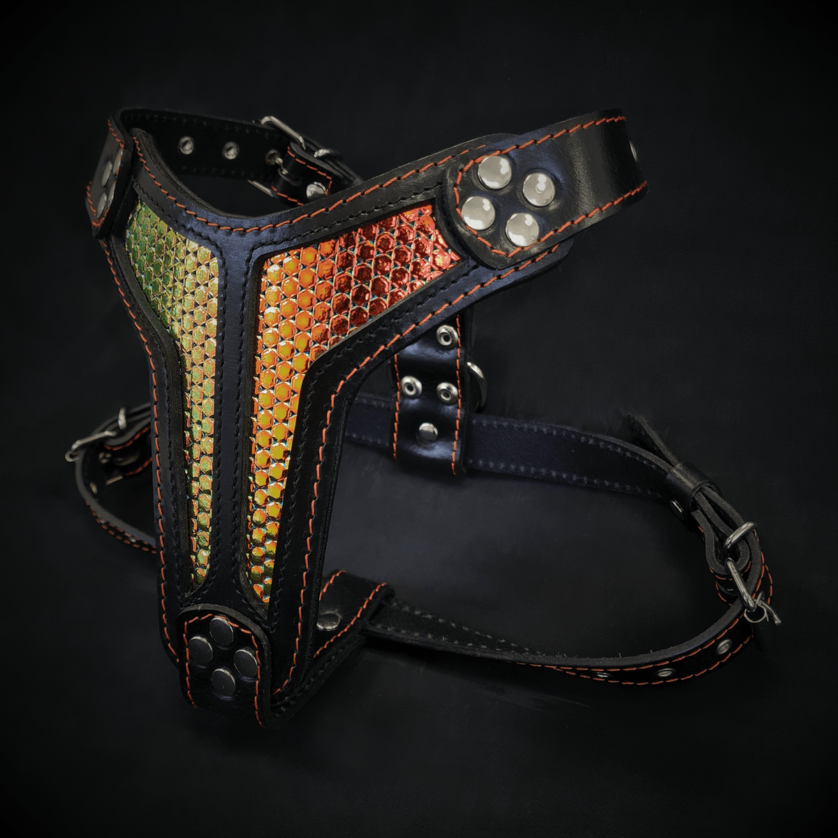 Bestia D'Albertis Leather Dog Harness – Medium Dogs