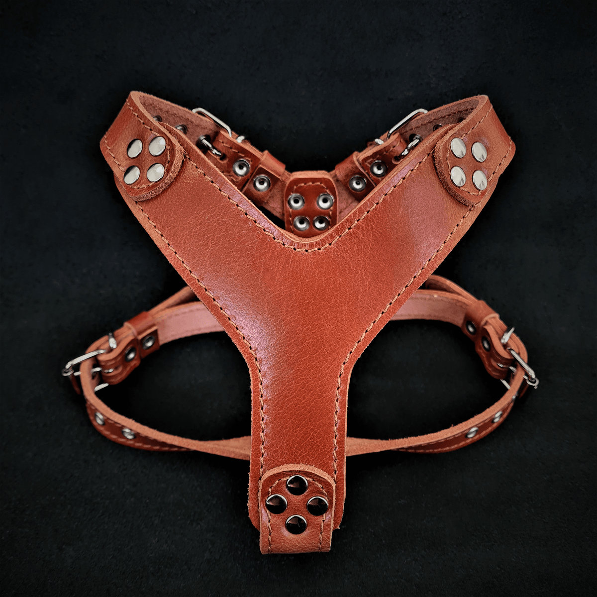 Bestia Style Leather Dog Harness – Brown, Small–Medium Dogs