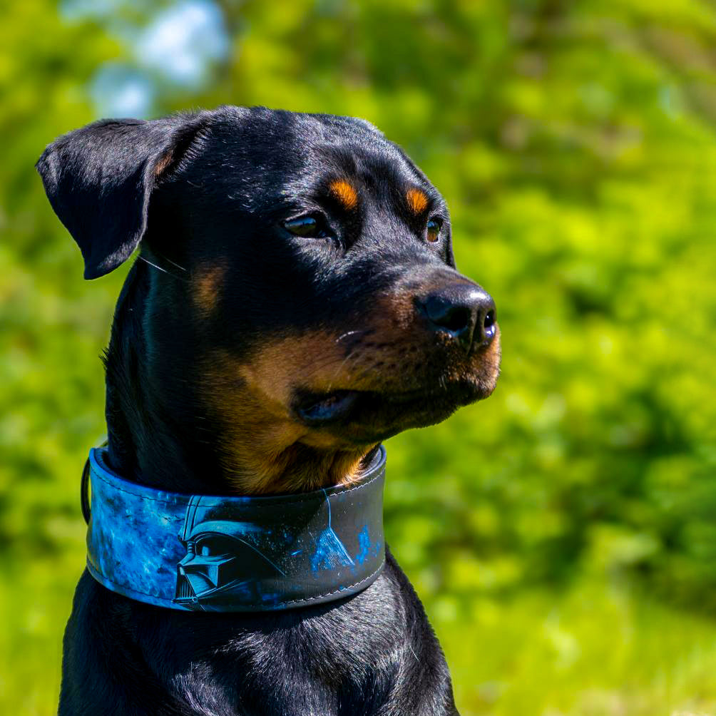 Bestia Darth Force Leather Dog Collar – Limited Edition