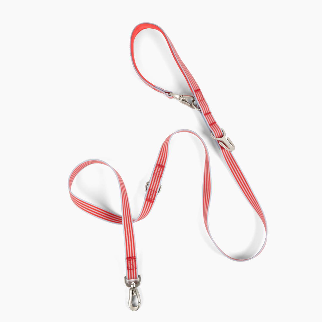 Waterproof Dog Leash - 5ft
