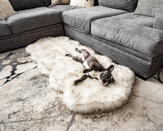 PupRug® Runner Faux Fur Memory Foam Dog Bed - Curve White with Brown Accents Paw.com