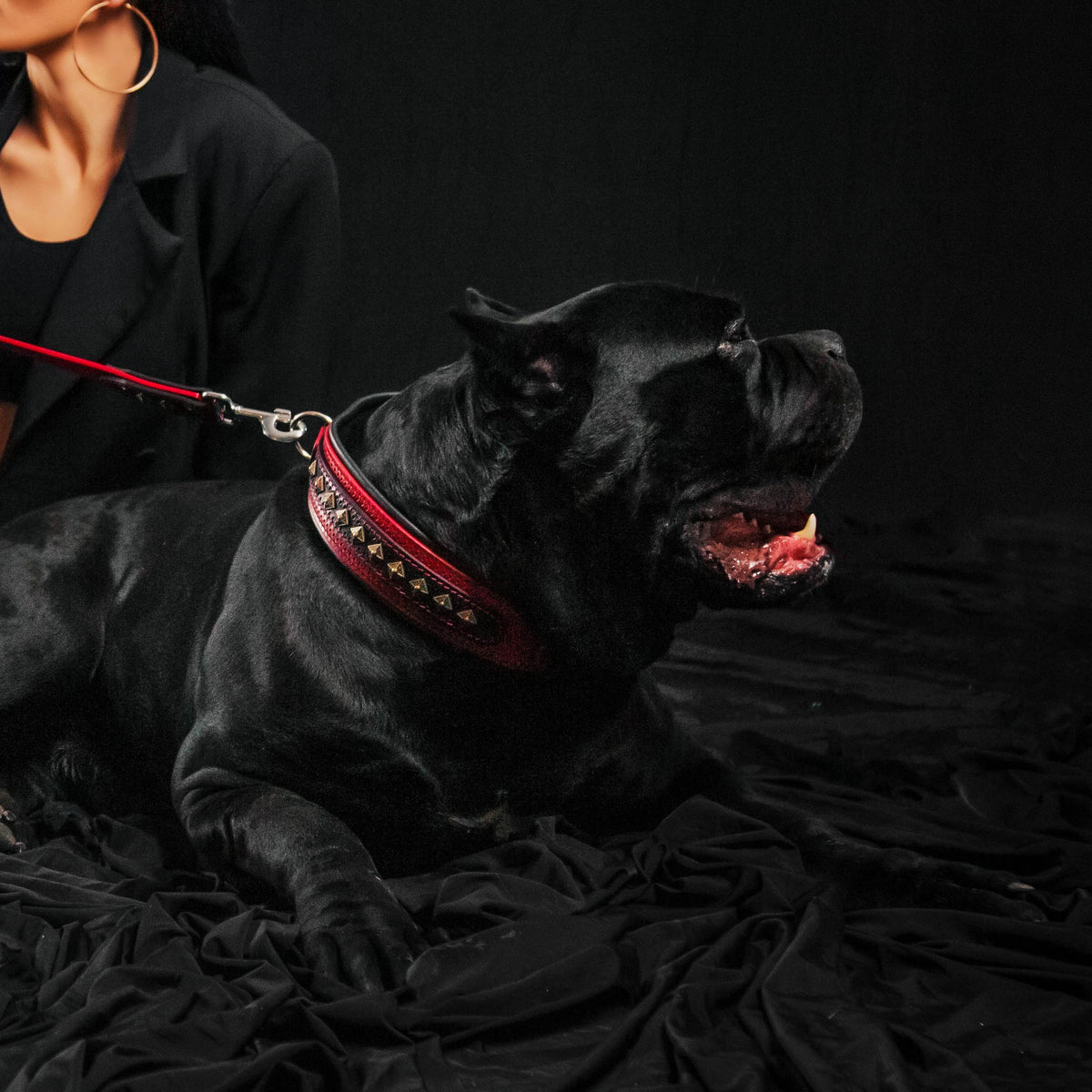 Bestia Balteus Leather Dog Collar – Red