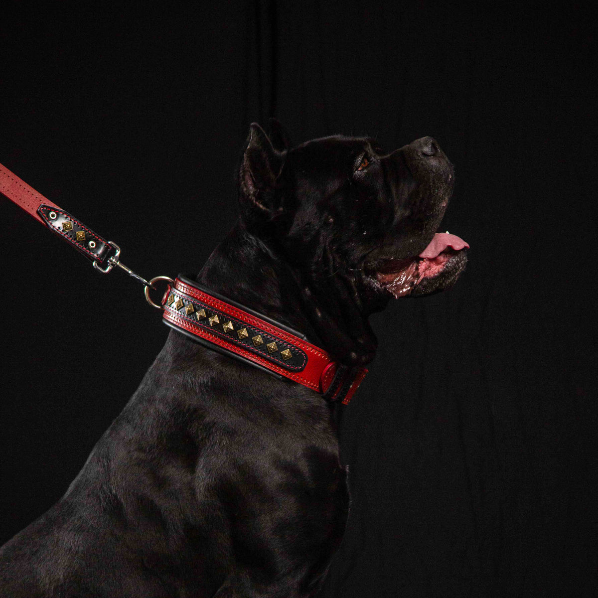 Bestia Balteus Leather Dog Collar – Red
