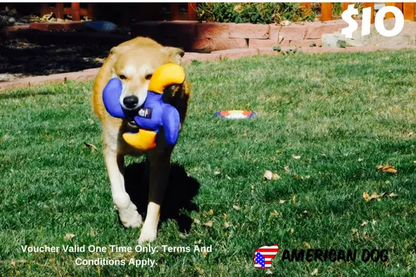 Gift Card American Dog