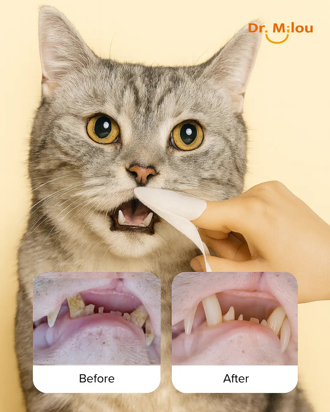 Dr. Milou Pet Dental Finger Wipes – Daily Oral Care for Dogs & Cats Dr. Milou