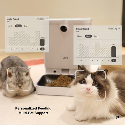 All-in-One Smart Pet Feeder PiFi