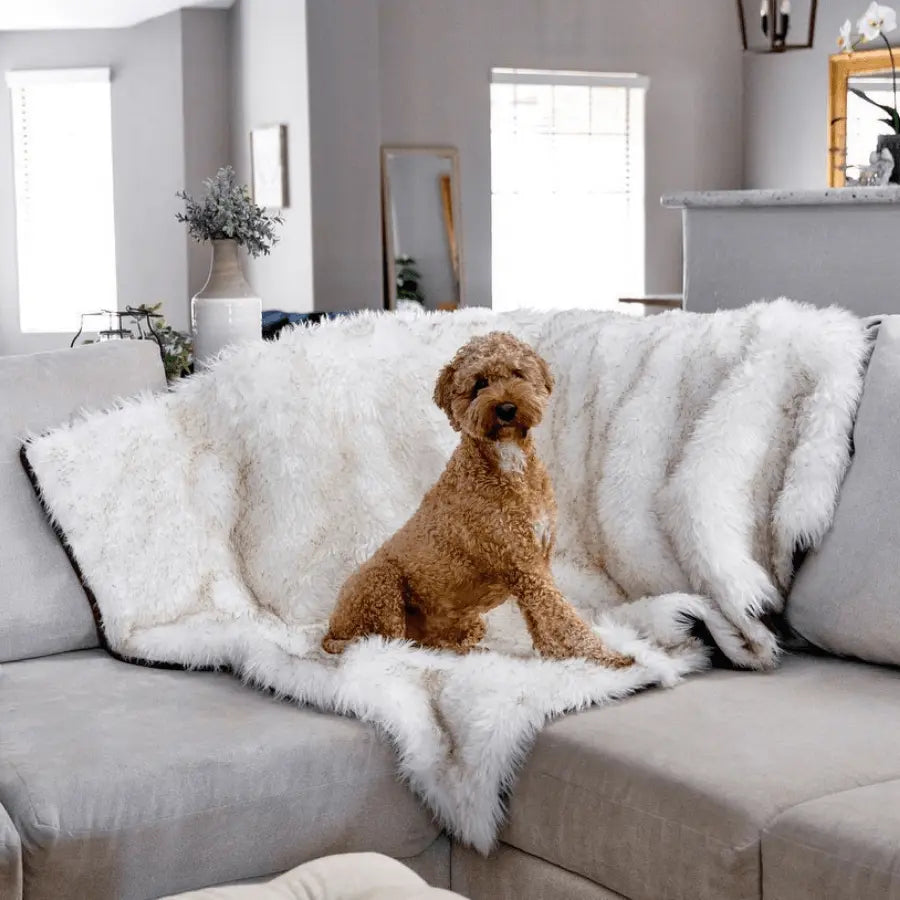 PupProtector™ Waterproof Throw Blanket - White with Brown Accents Paw.com