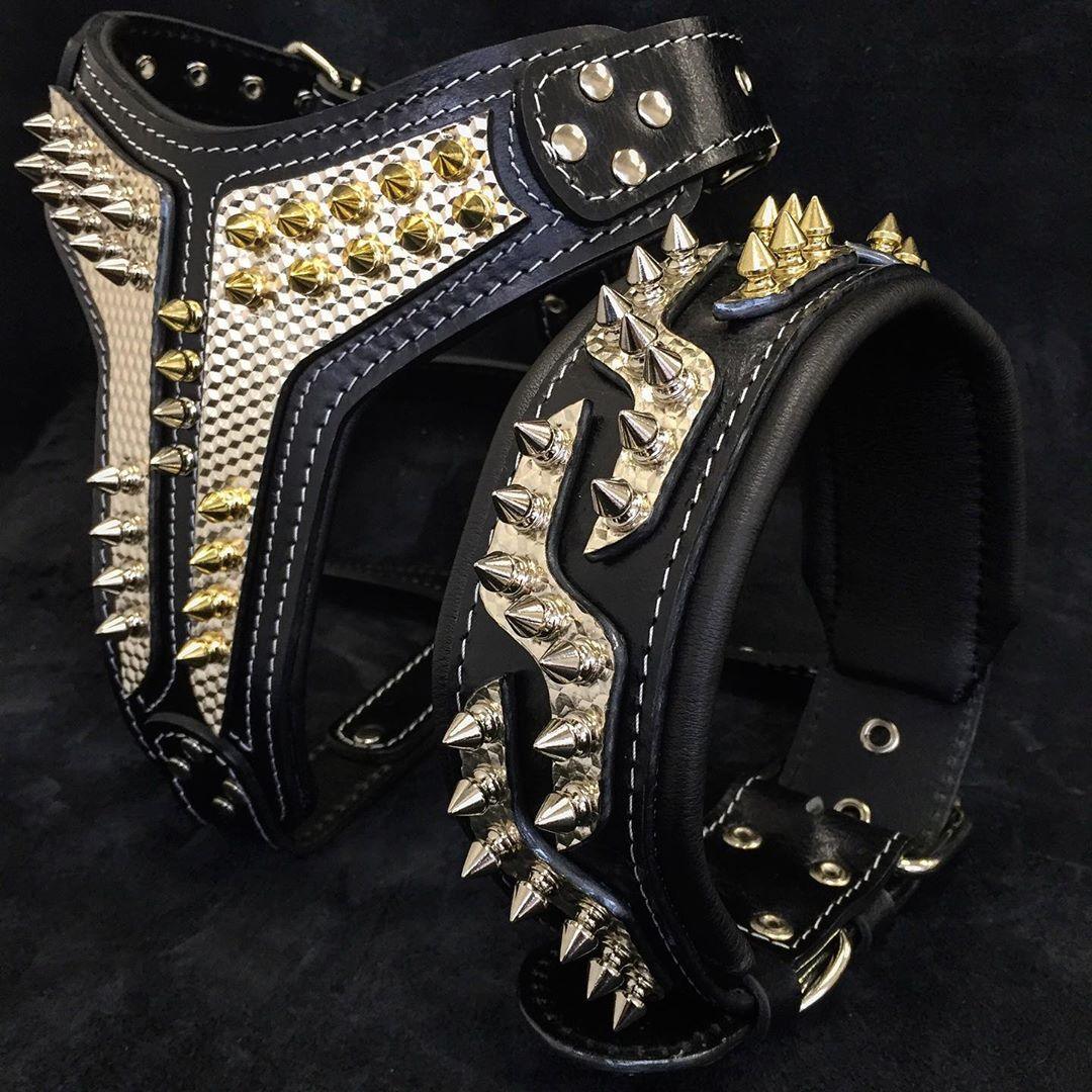 Bestia Platinum Leather Dog Collar