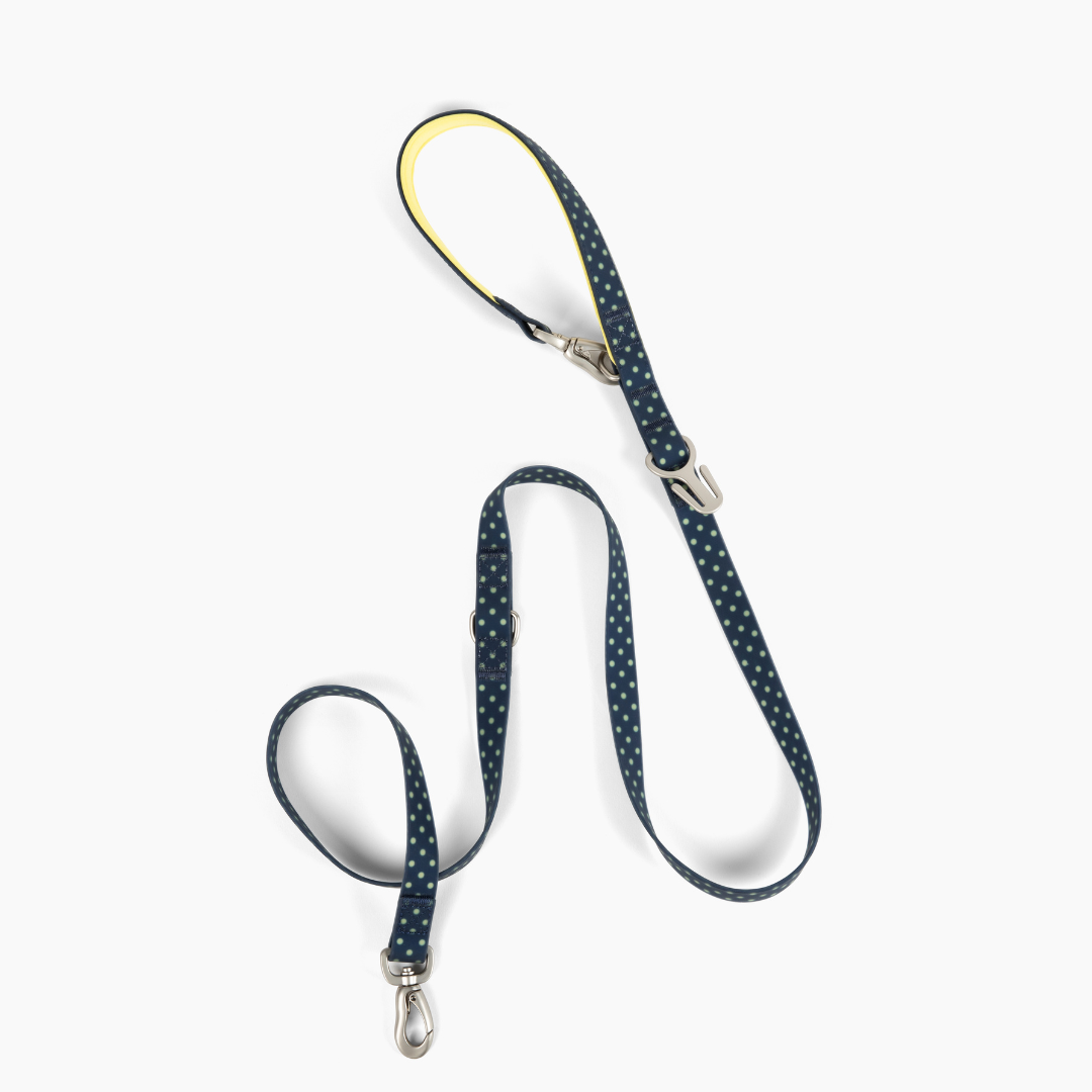 Waterproof Dog Leash - 5ft