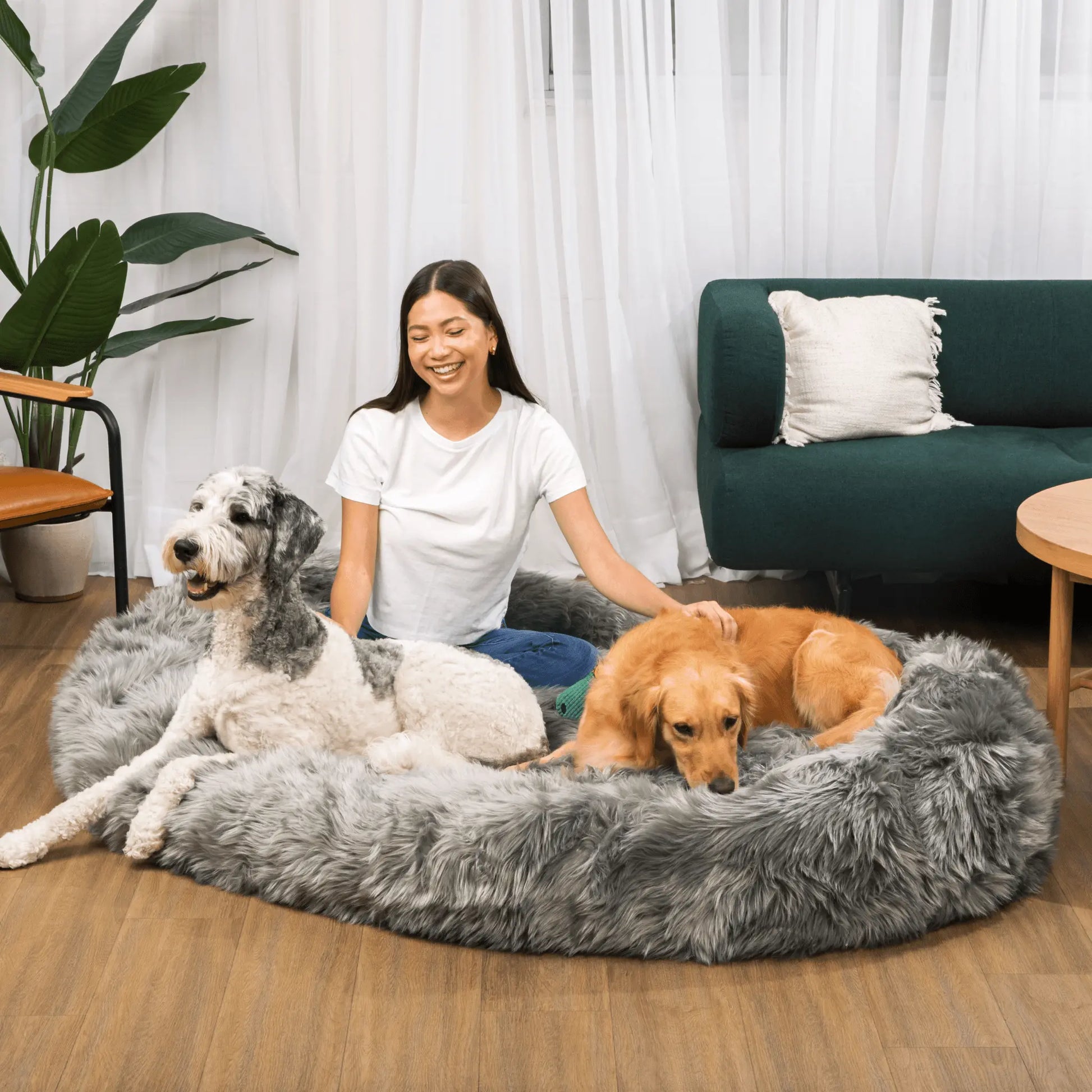 PupCloud™ Human-Size Dog Bed + Matching Waterproof Blanket Bundle - Charcoal Grey Paw.com