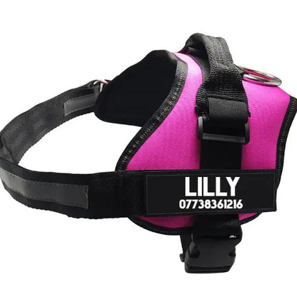 Ultimate Pet Adventure Set: Adjustable Chest Harness With Dog Leash Dog Hugs Cat