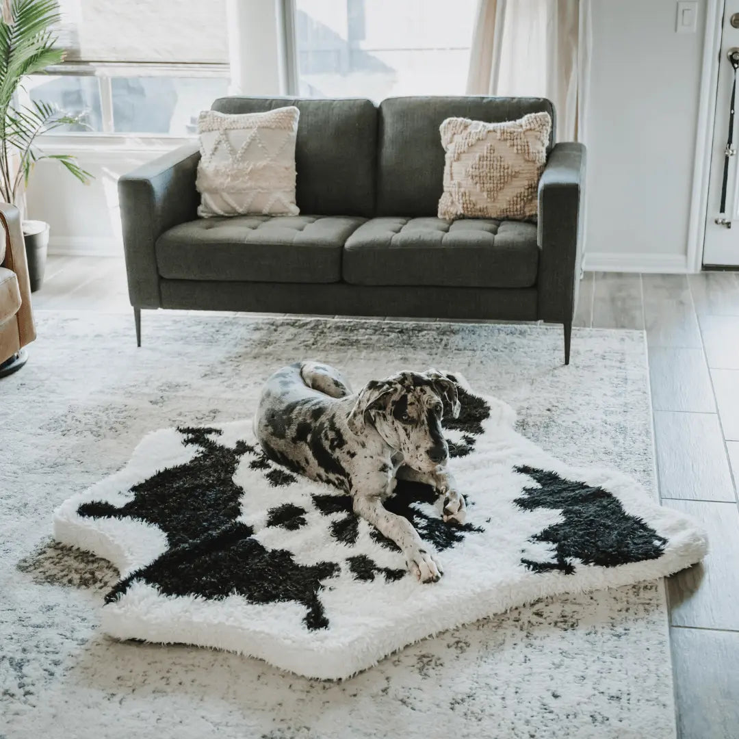 PupRug™ Animal Print Memory Foam Dog Bed - Black Faux Cowhide Paw.com