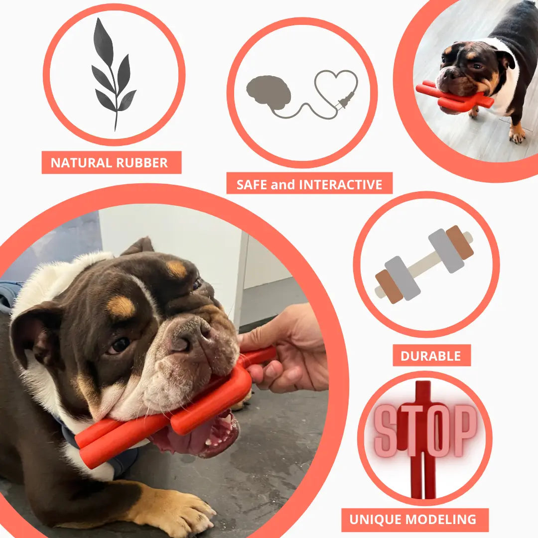 Dog Chew Toy - K9 Outdoors