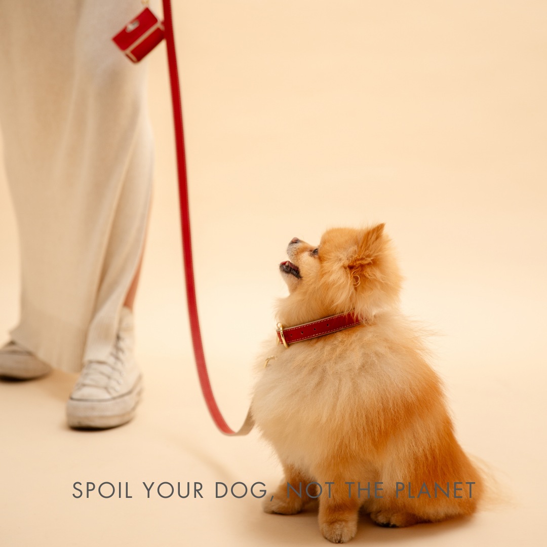 Leash 4ft - Vegan Leather - Copenhagen Nina Woof