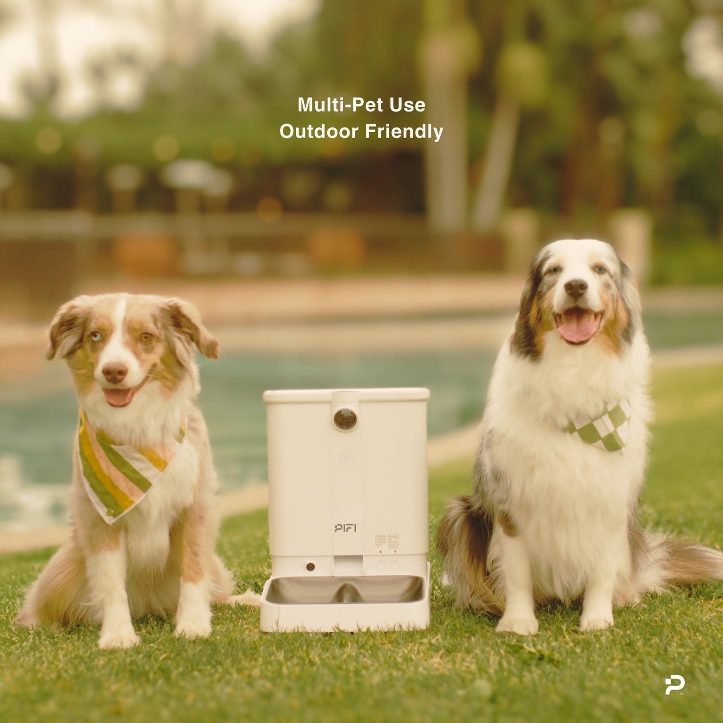 All-in-One Smart Pet Feeder PiFi