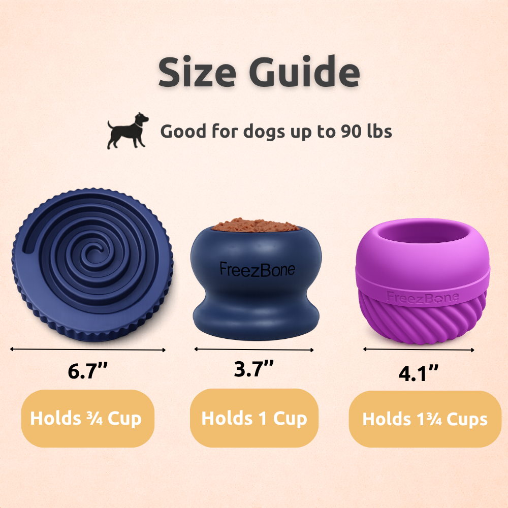 Best Seller Bundle - Our Most Popular Set