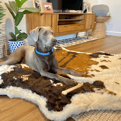 PupRug™ Animal Print Memory Foam Dog Bed - Brown Faux Cowhide Paw.com
