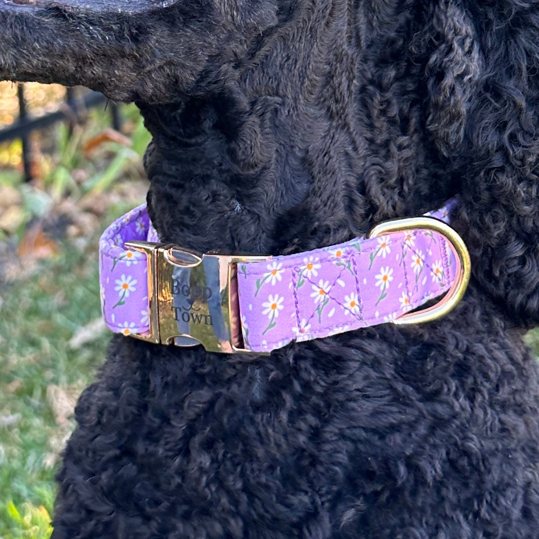 Purple Daisy Collar Boop Town