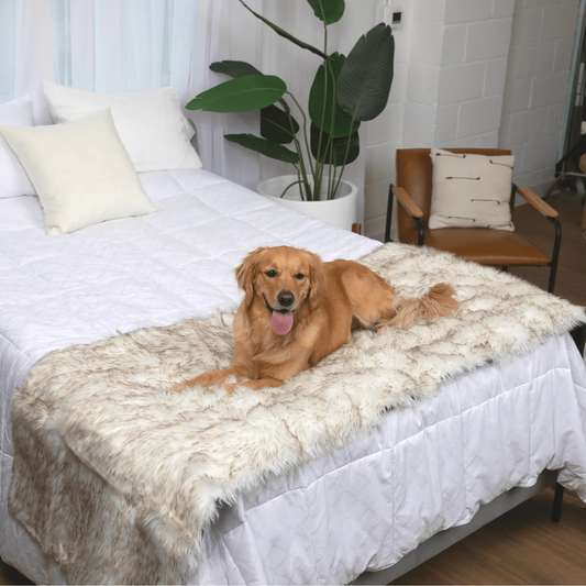 PupProtector™ Waterproof Bed Runner - White with Brown Accents Paw.com