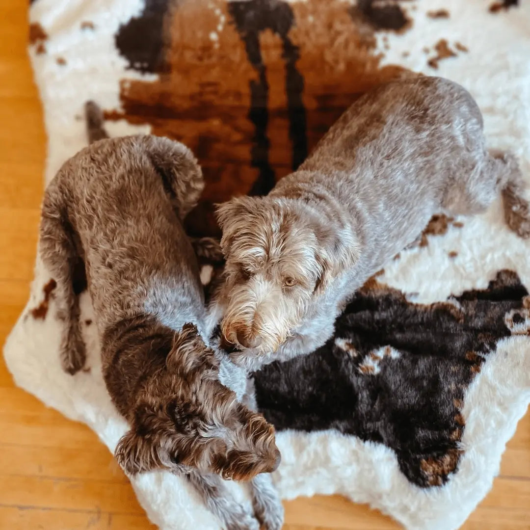 PupRug™ Animal Print Memory Foam Dog Bed - Brown Faux Cowhide Paw.com