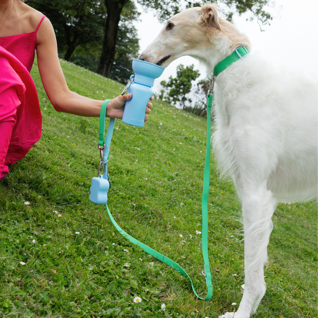 Waterproof Dog Leash - 5ft