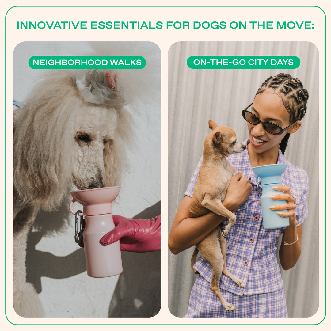 15oz Original Travel Dog Water Bottle