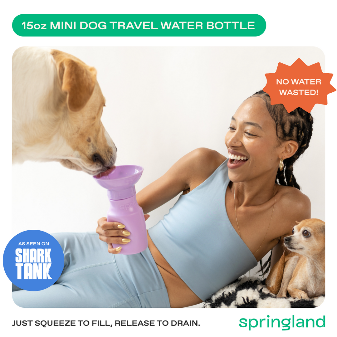 15oz Original Travel Dog Water Bottle