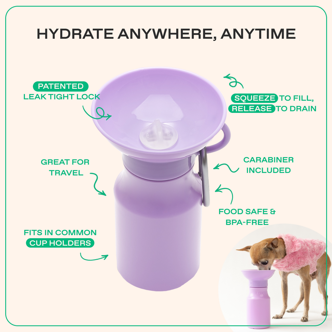 15oz Original Travel Dog Water Bottle