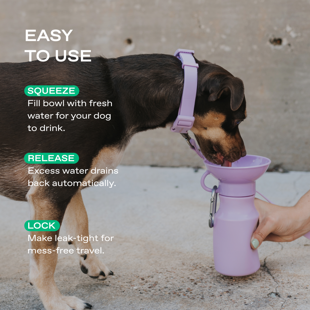 15oz Original Travel Dog Water Bottle
