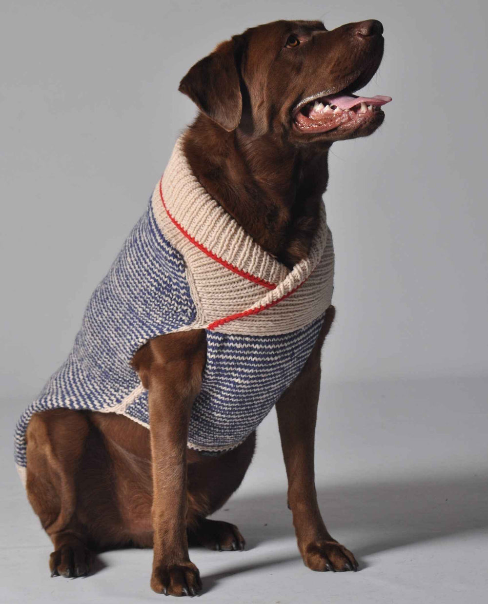 Spencer Dog Sweater