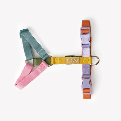 Rainbow - Dog Harness FURLOU