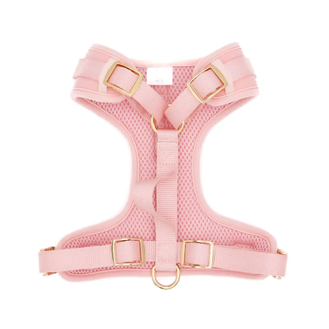 Elise Harness - Rose Elise Galleria