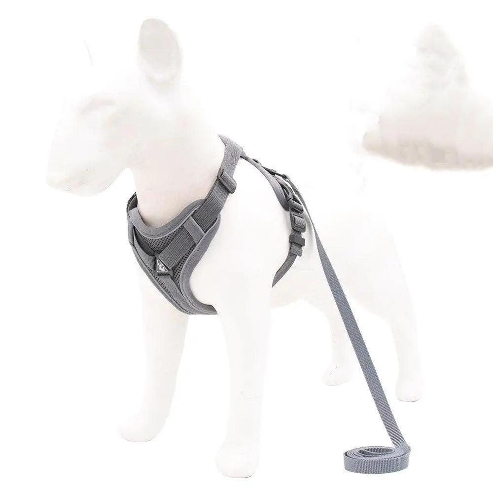 Reflective Adventure Dog Harness Dog Hugs Cat