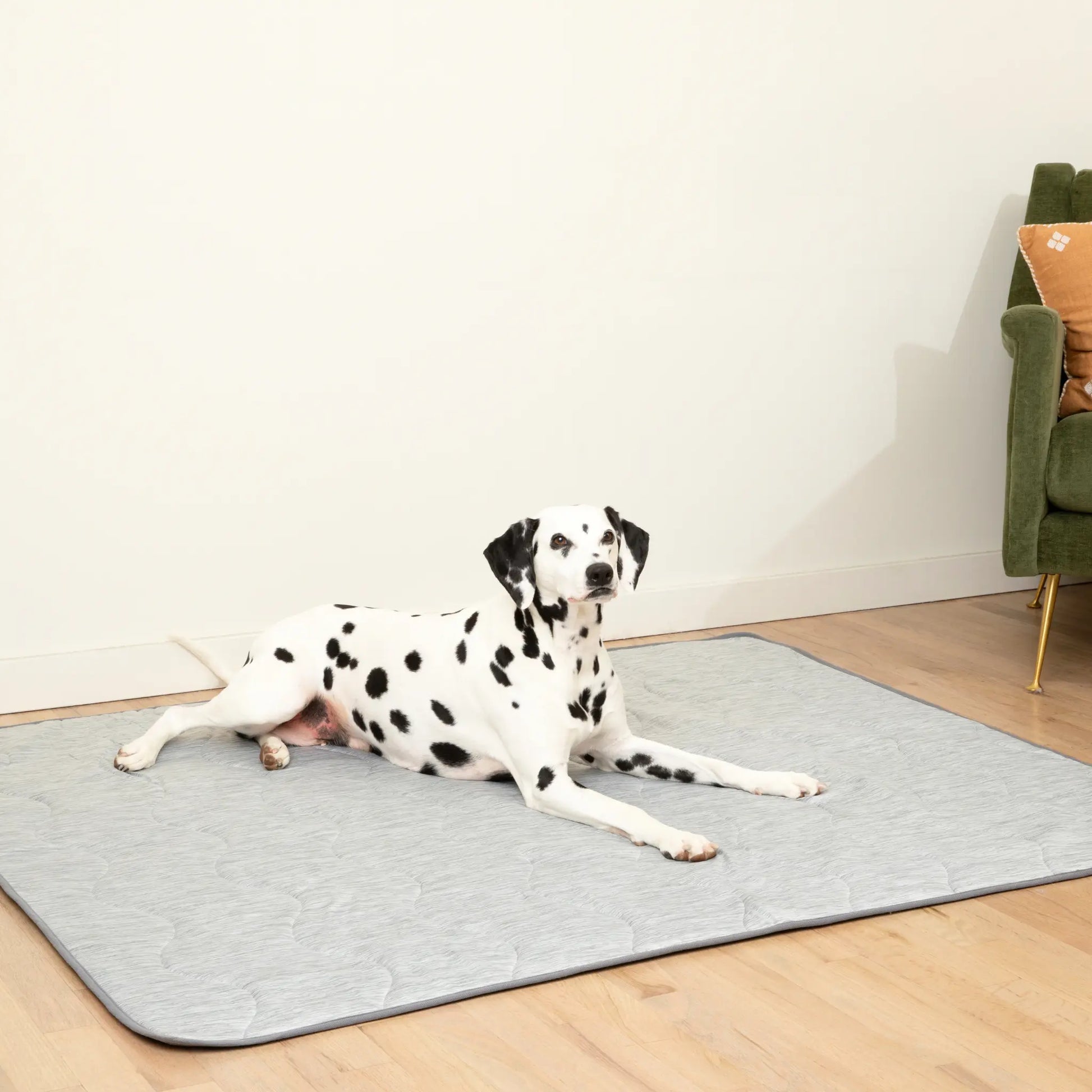 PupChill™ Cooling Waterproof Blanket - Arctic Grey Paw.com