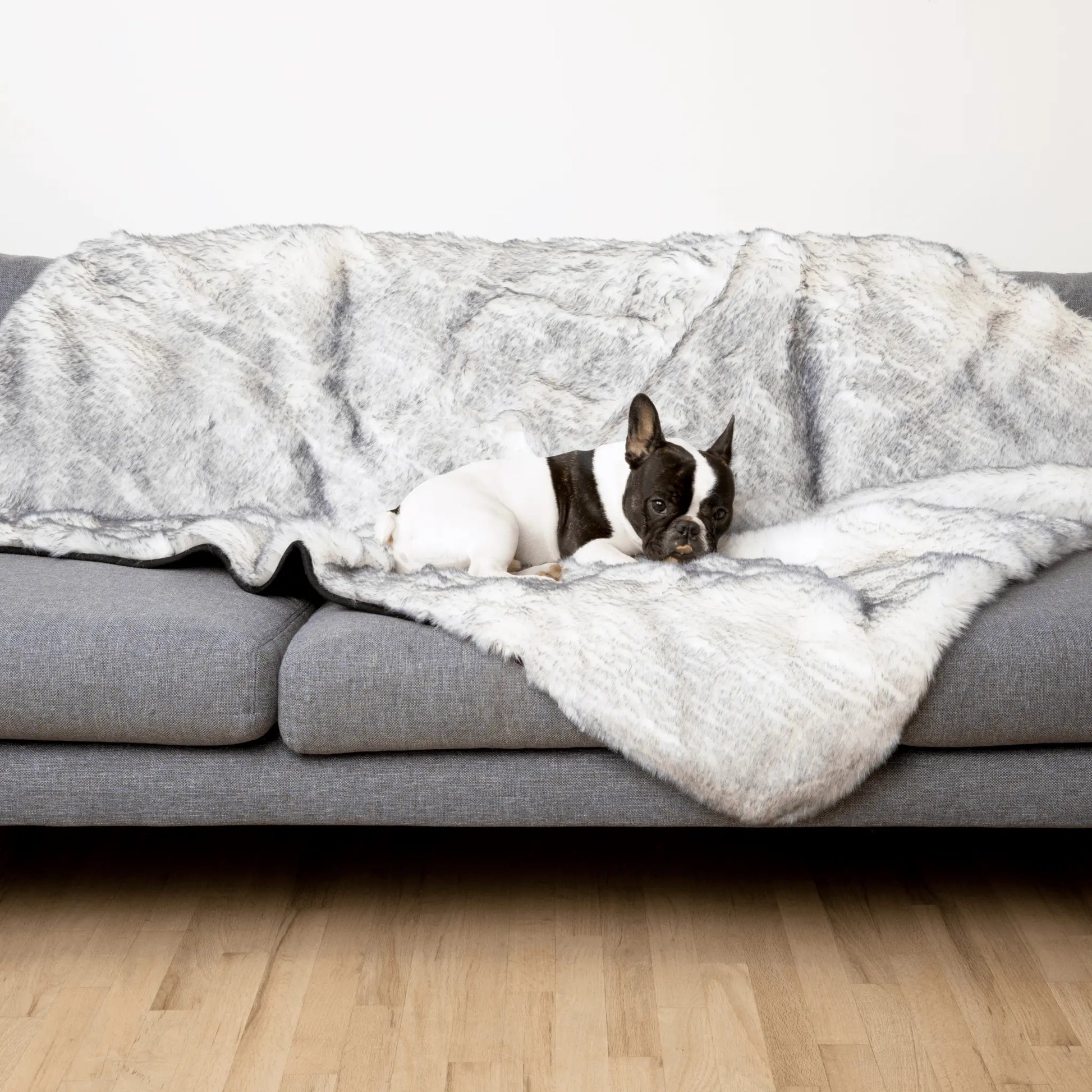 PupProtector™ Luxe Waterproof Faux Fur Blanket - Ultra Plush Arctic Fox Paw.com