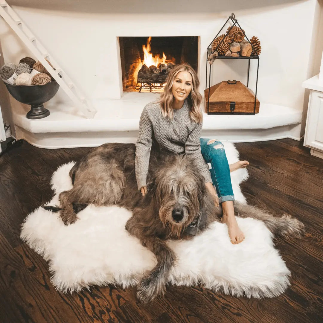 PupRug™ Animal Print Memory Foam Dog Bed - Polar Bear Faux Hide Paw.com