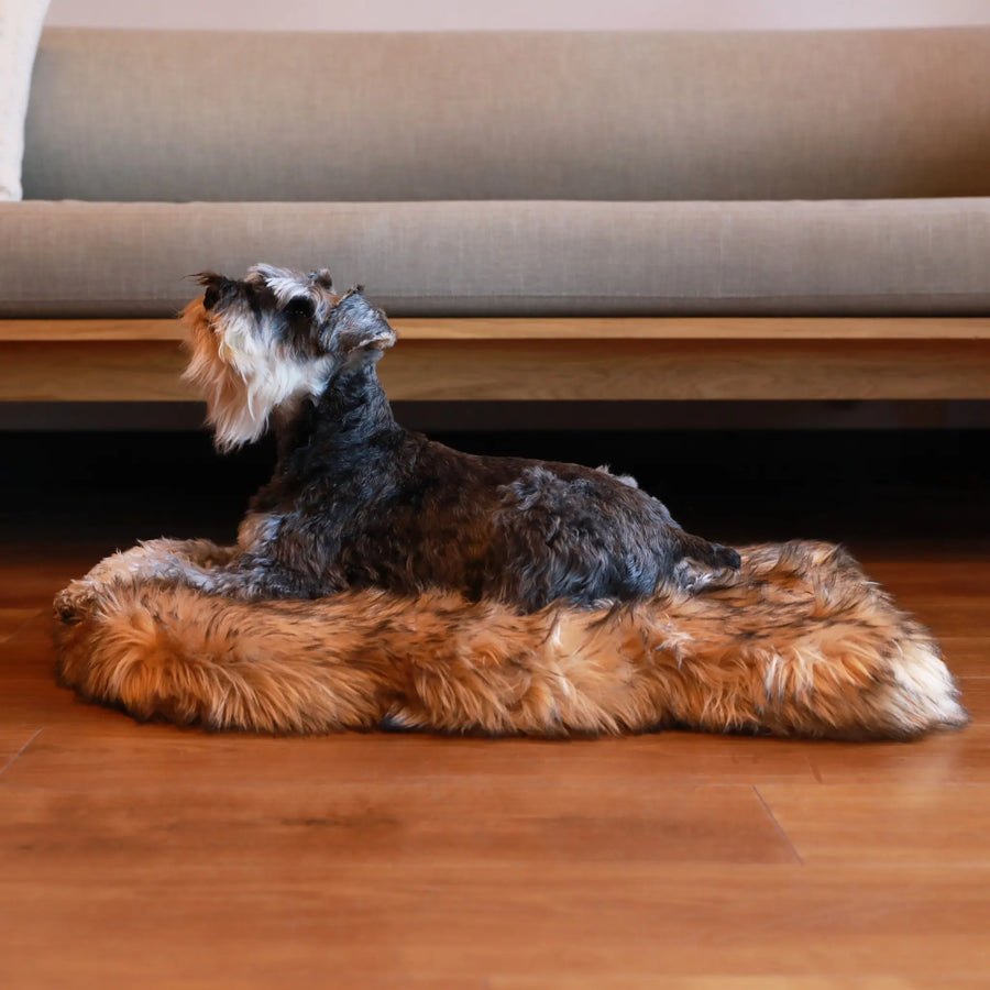 PupRug by Paw.com® Faux Fur Orthopedic Dog Bed - Curve Sable Tan