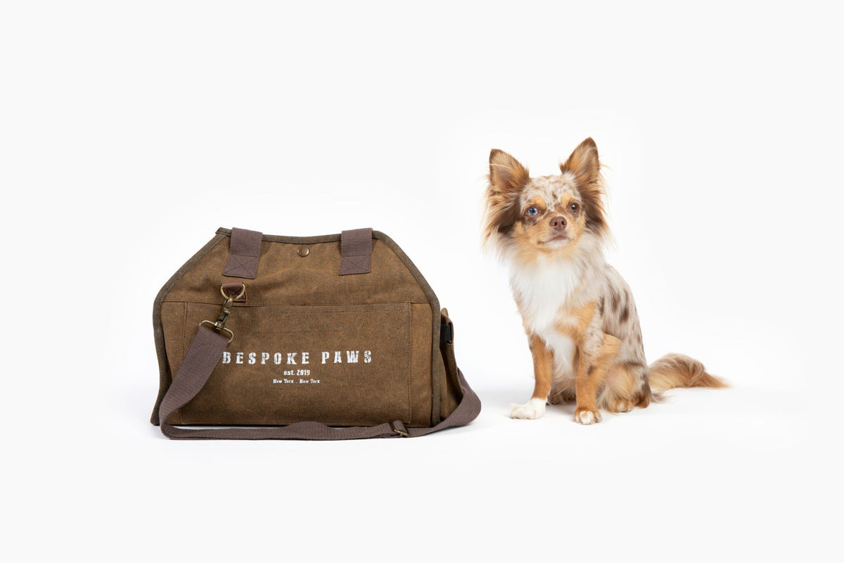 The Daily Carrier—Packable Luxury for Life on the Go by BESPOKE PAWS