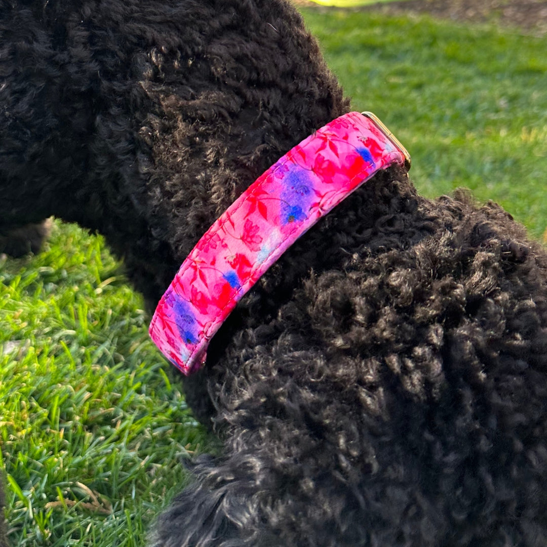 Dog Collars Boop Town