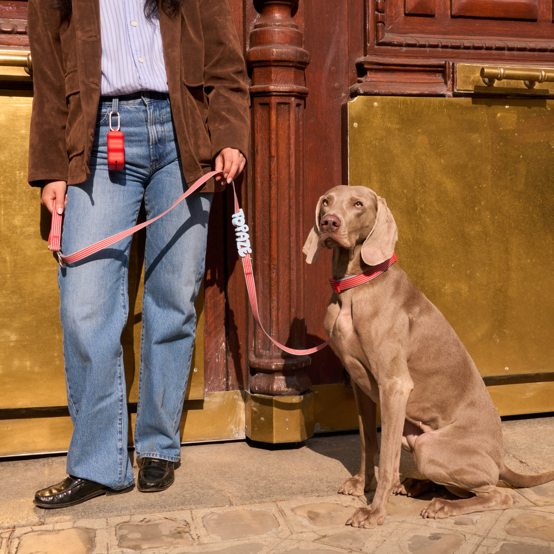 Waterproof Dog Leash - 5ft